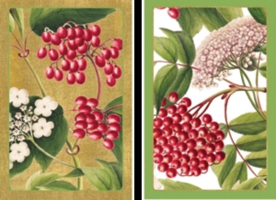 Caspari Bridge Spielkarten Motiv Berry Chintz