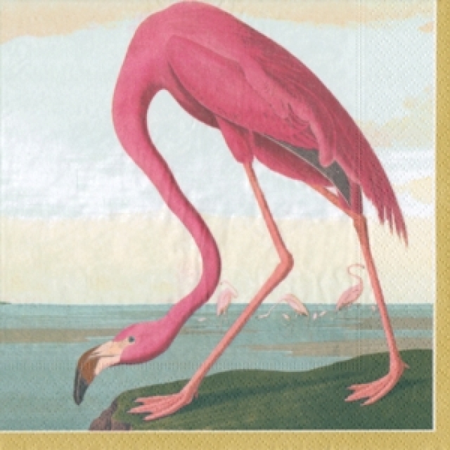 Caspari Lunch Serviette pro Stück Audubon birds
