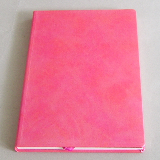 Caspari A 5 Journal iridescent Fuchsia