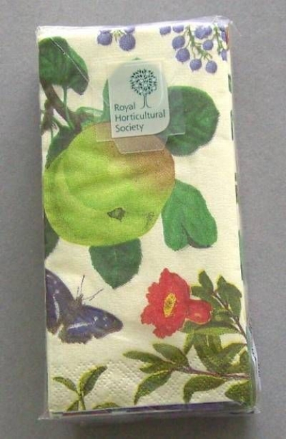 CASPARI Papier Taschentuch pro Stück Royal Orchard ivory