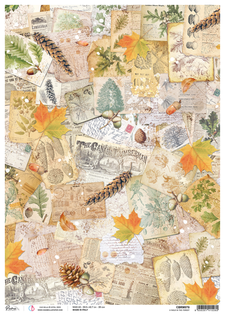 Ciao Bella Rice Paper A3 Walk in the Forest