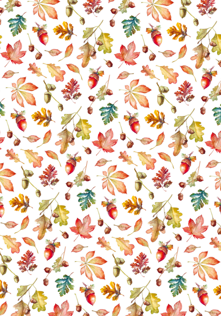 Ciao Bella Paper Patterns A4 Vellum Into the Wild
