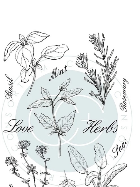 Craft Consortium Clear Stamp Transparenter Stempel The Herbarium Herbs