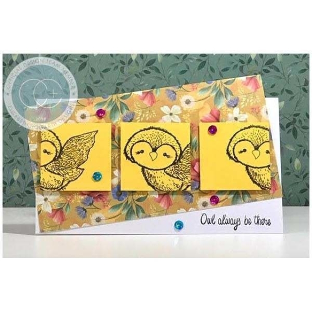 Craft Consortium Clear Stamp Transparenter Stempel Olivia the Owl