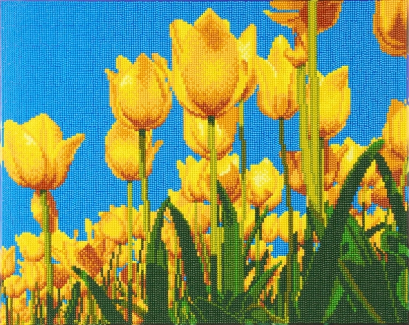 Craft Buddy CAK-A89 Framed Crystal Art Holzrahmen Tulips