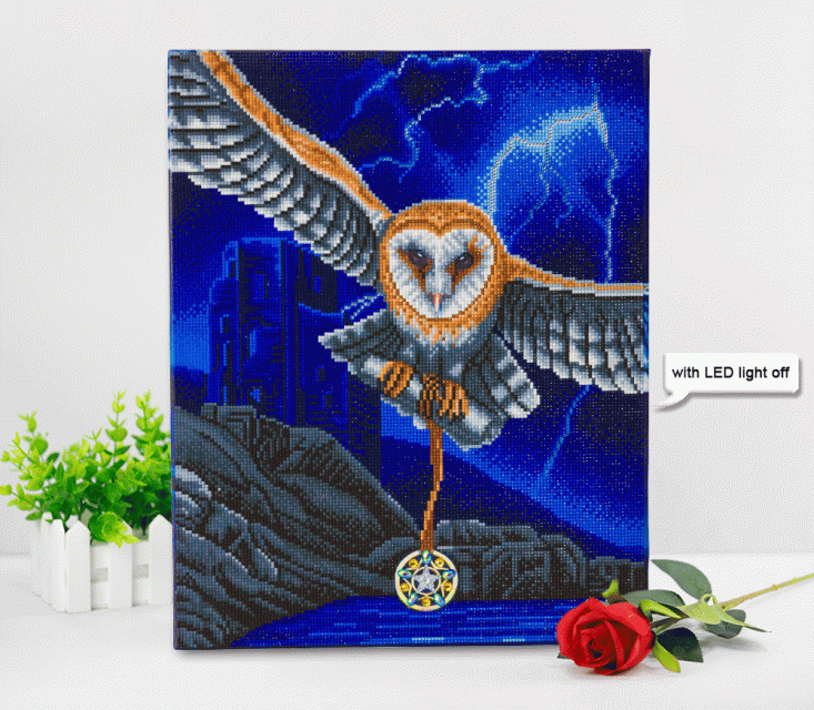 Craft Buddy CAK-XLED18 Framed LED Crystal Art Holzrahmen Heart of the Storm Owl