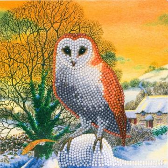 Craft Buddy CCK-XM60 Crystal Card Kit Winter Owl
