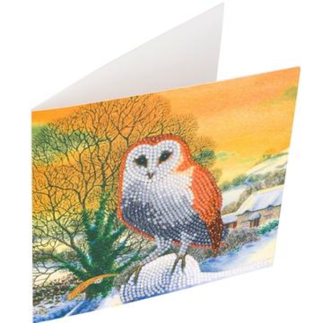 Craft Buddy CCK-XM60 Crystal Card Kit Winter Owl