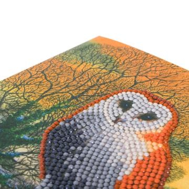 Craft Buddy CCK-XM60 Crystal Card Kit Winter Owl
