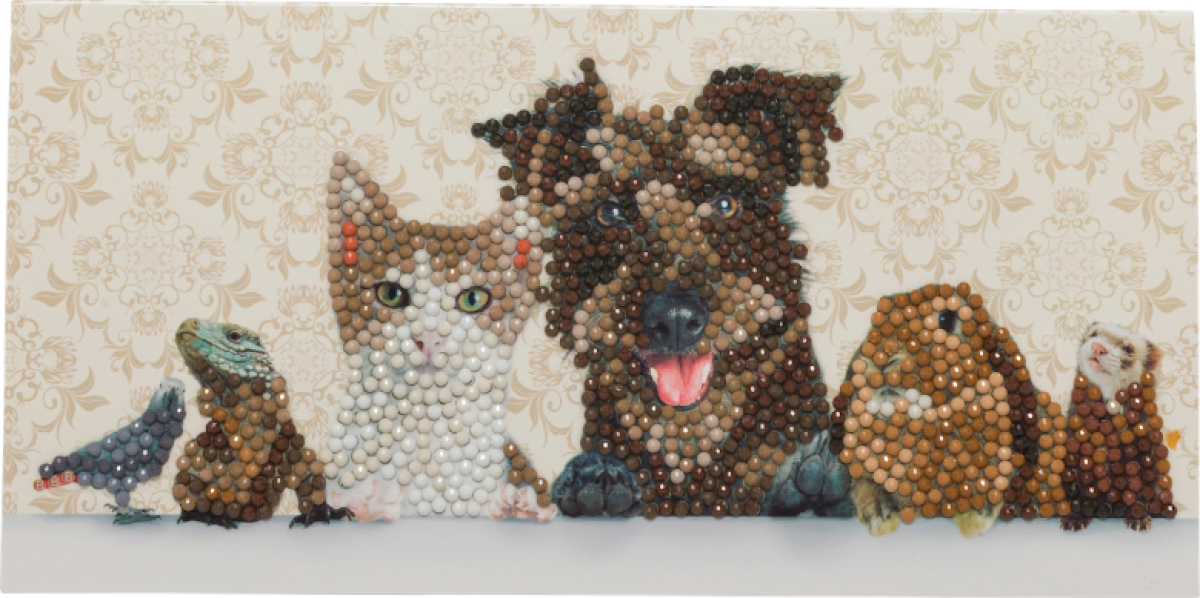 Craft Buddy CCK-11x22C6 Crystal Art Card Animal Family