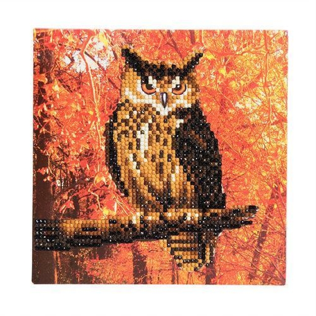 Craft Buddy CCK-A10 Crystal Art Card 18 x 18 cm Autumn Owl