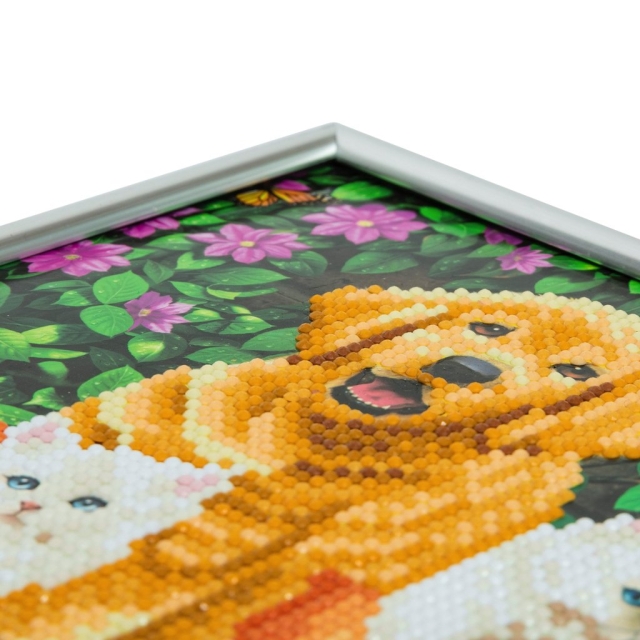 Crystal Art Kristallkunst Bilderrahmen mit silberfarbigem Rahmen CAM-11 Cat and Dog, Friends for Life