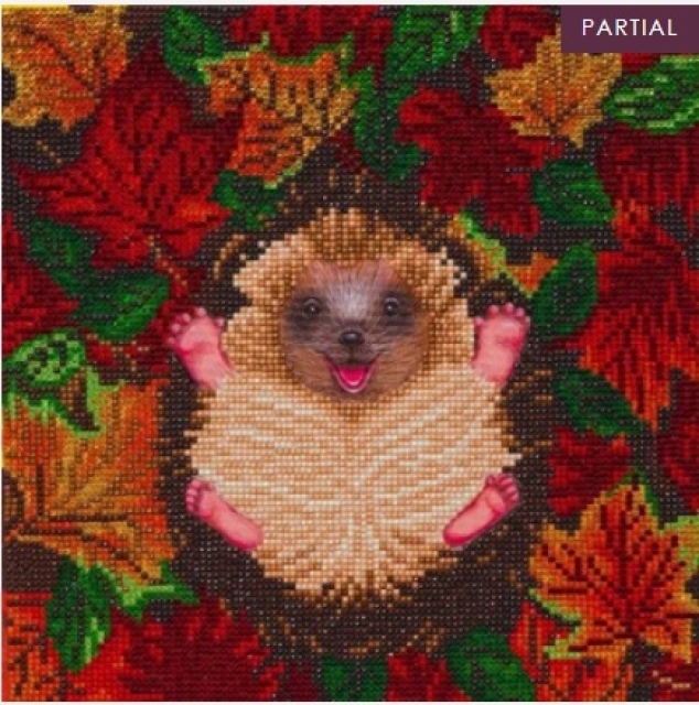 Craft Buddy CAK-A146M Framed Crystal Art Holzrahmen Autumn Hedgehog