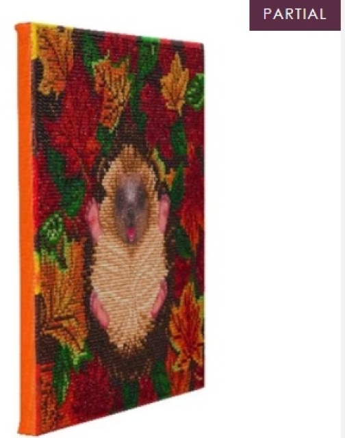 Craft Buddy CAK-A146M Framed Crystal Art Holzrahmen Autumn Hedgehog