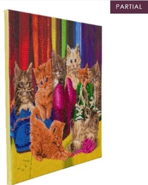Craft Buddy CAK-A153L Framed Crystal Art Holzrahmen Kitten Footware