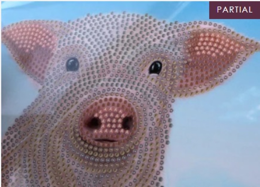 Craft Buddy CCK-A100 Crystal Art Card 18 x 18 cm Pig on the Fence