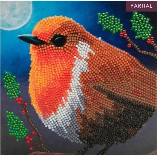 Craft Buddy CCK-XM104 Crystal Art Card 18 x 18 cm Robin