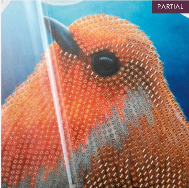 Craft Buddy CCK-XM104 Crystal Art Card 18 x 18 cm Robin