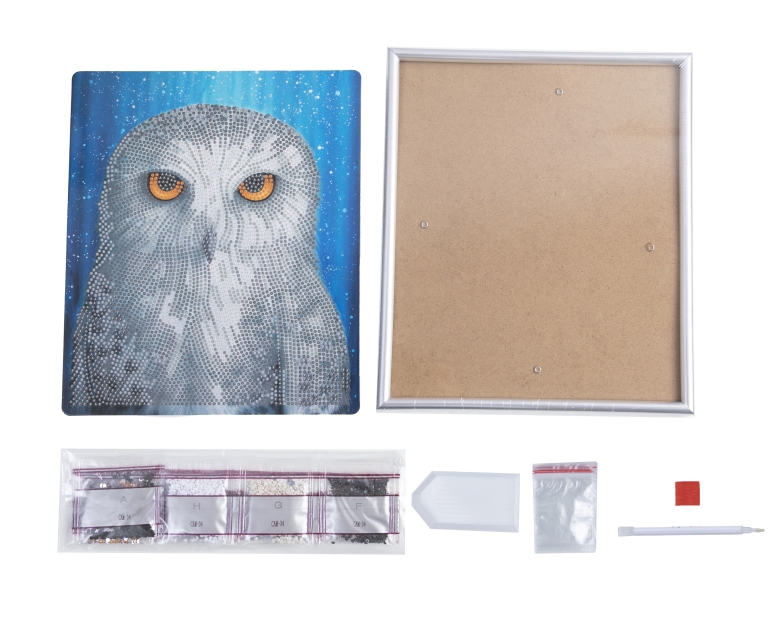 CAM-34 Crystal Art Gallery Collection Kit 21 x 25 cm Owl