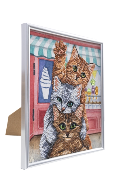 CAM-33 Crystal Art Gallery Collection Kit 21 x 25 cm Kittens