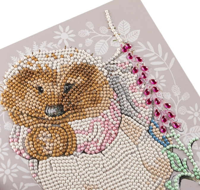 Craft Buddy CCK-PRBT10 Crystal Art Card 18 x 18 cm Mrs. Tiggy-Winkle