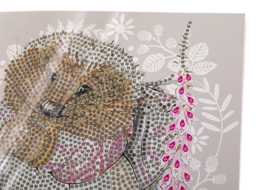 Craft Buddy CCK-PRBT10 Crystal Art Card 18 x 18 cm Mrs. Tiggy-Winkle