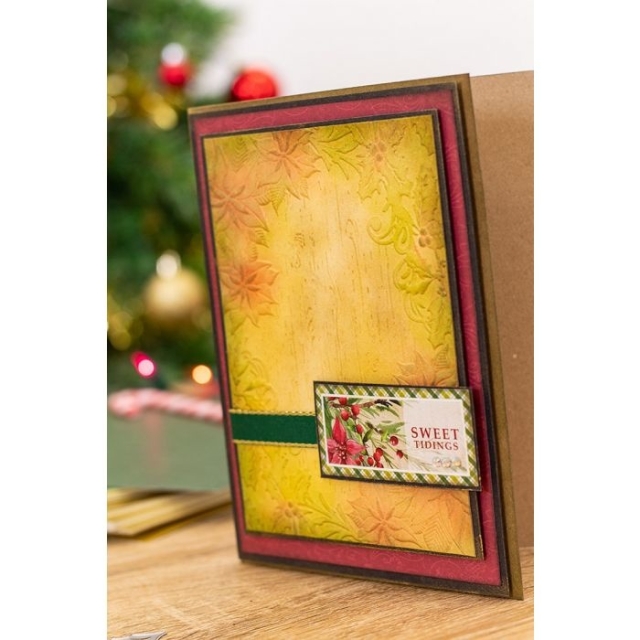 Crafters Companion Poinsetta Perfection 3D Embossing Folder Festive Frame