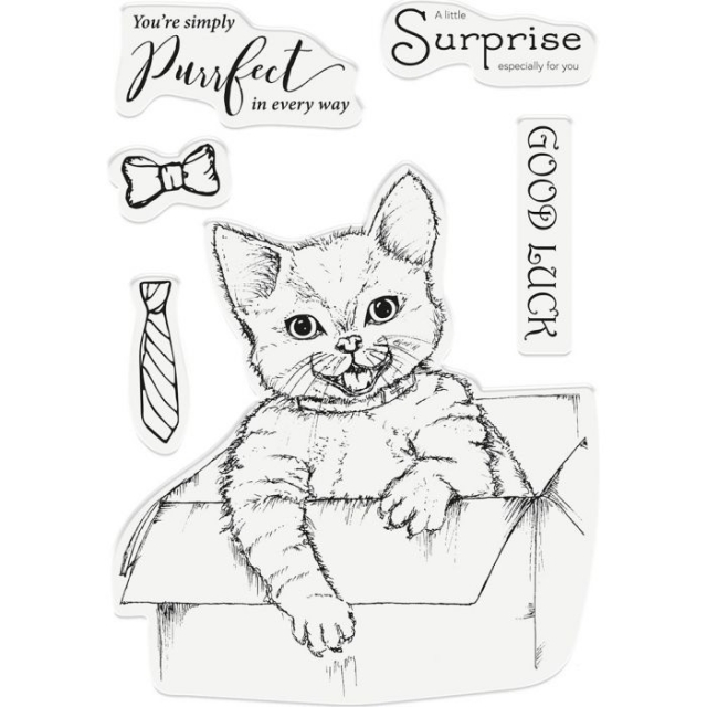 Crafters Companion Clear Stamps A Little Surprise