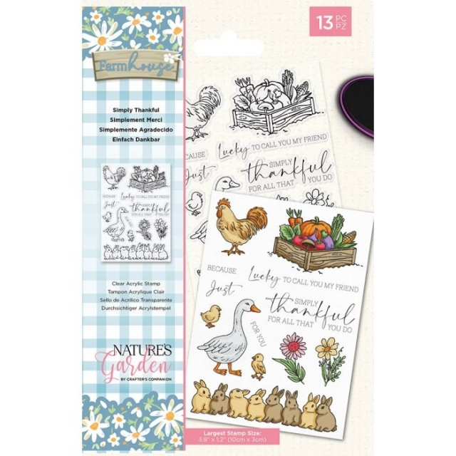 Crafters Companion Clear Stamps Transparenter Stempel Farmhouse Simply Thankful