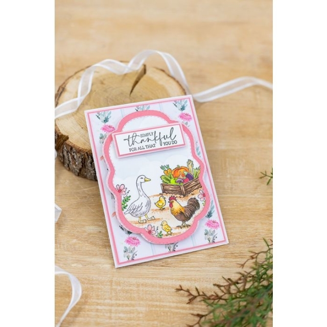 Crafters Companion Clear Stamps Transparenter Stempel Farmhouse Simply Thankful