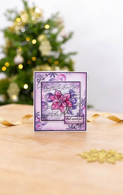 Crafters Companion Clear Stamp Transparenter Stempel Christmas Poinsetta