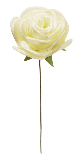 Rosen ca. 35 mm, Box zu 20 Stück, creme