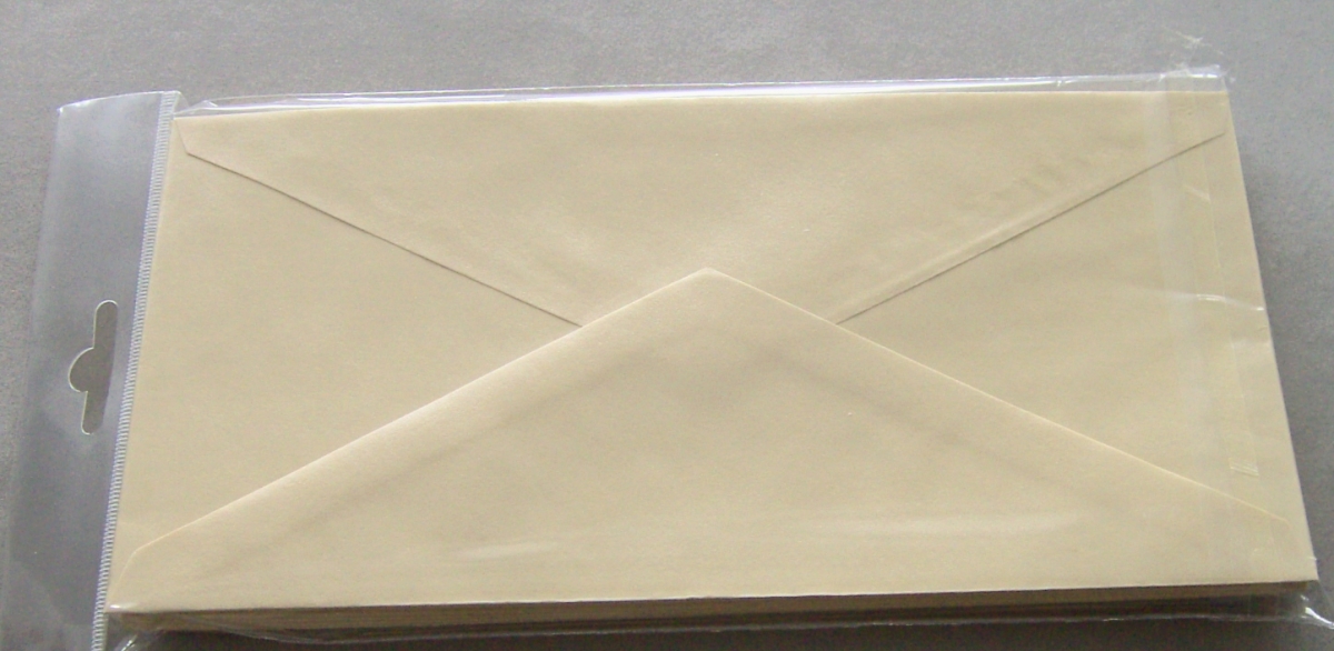 Reddy Umschlag Format DIN lang chamois Satin