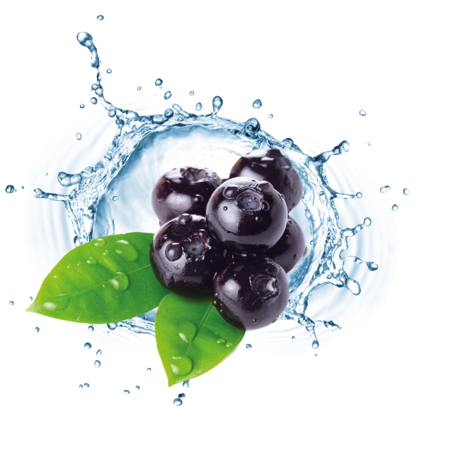 Fruchtiges Seifenduft-Öl Blaubeere /Heidelbeere