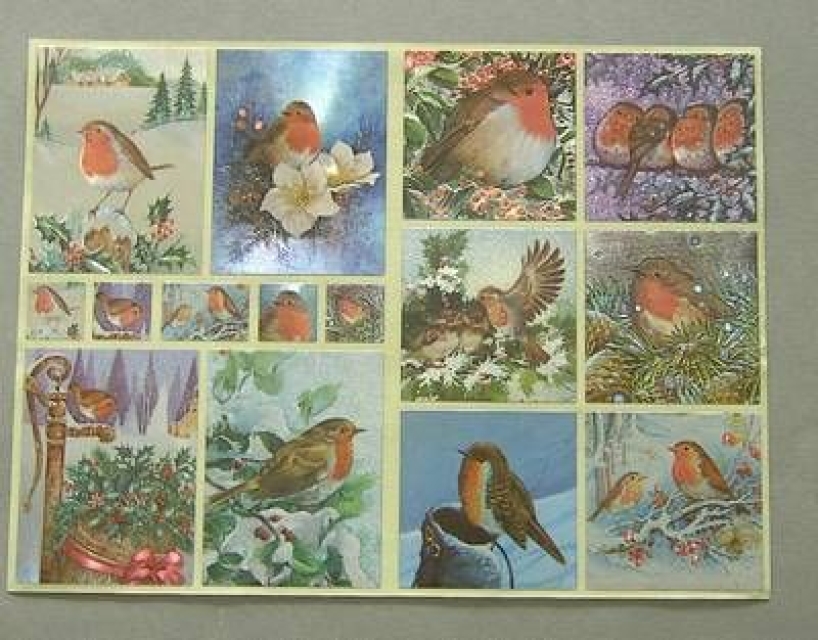 Stickerbogen A4 Rotkehlchen