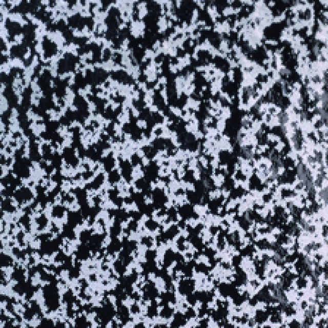 Efcolor Farbschmelzpulver schwarz struktur 25 ml