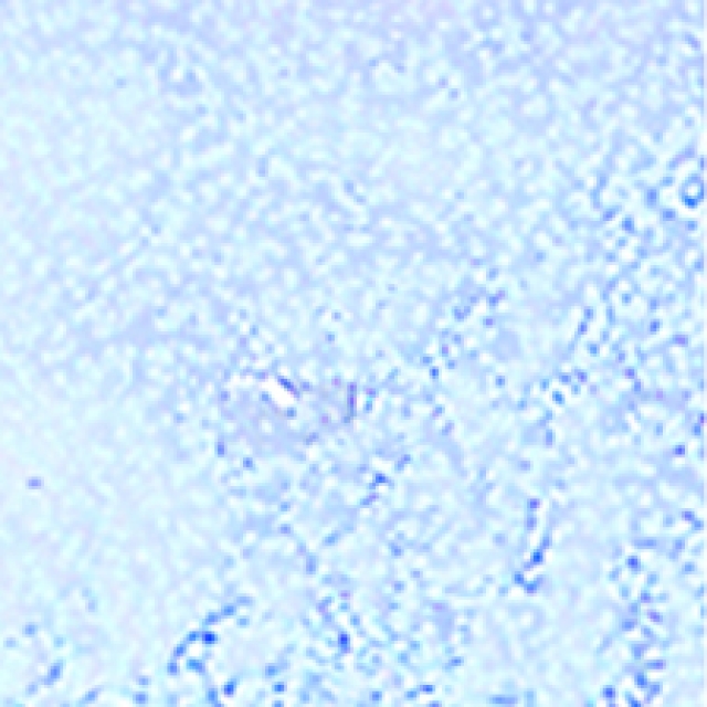 Efcolor Farbschmelzpulver silber struktur 25 ml