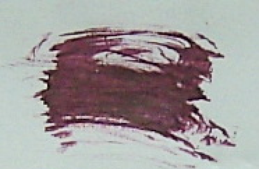 Universal Farbkonzentrat 25 ml violett
