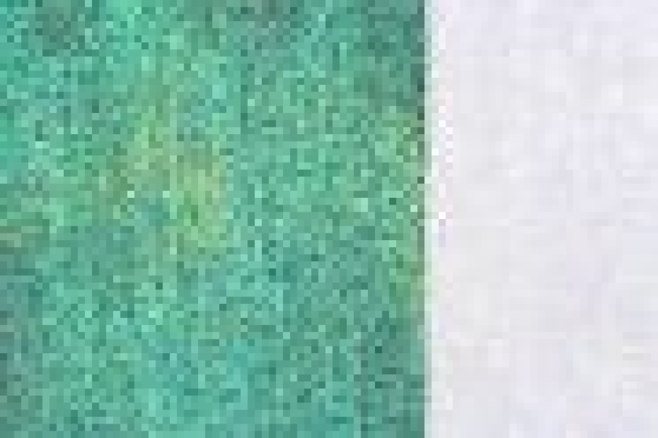 VIVA Decor Fashion Tex Hologramm