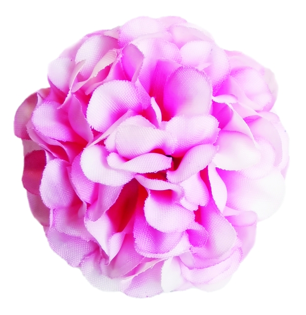 Flowerz Cute Camelias / Kamelien Pink