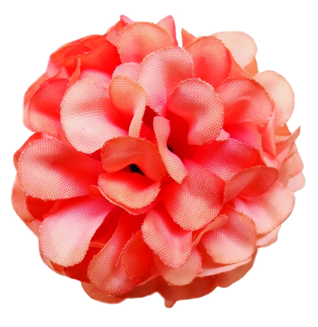 Flowerz Cute Camelias / Kamelien Peach