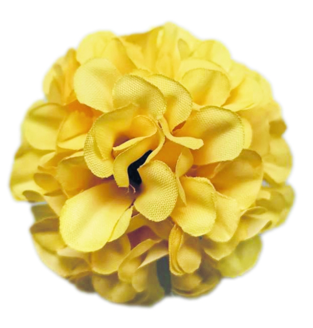 Flowerz Cute Camelias / Kamelien Yellow