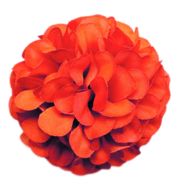 Flowerz Cute Camelias / Kamelien Tangerine