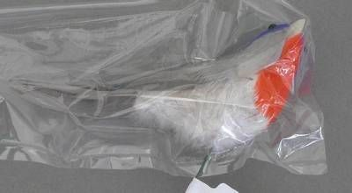 Federvogel 13 cm weiss mit rot