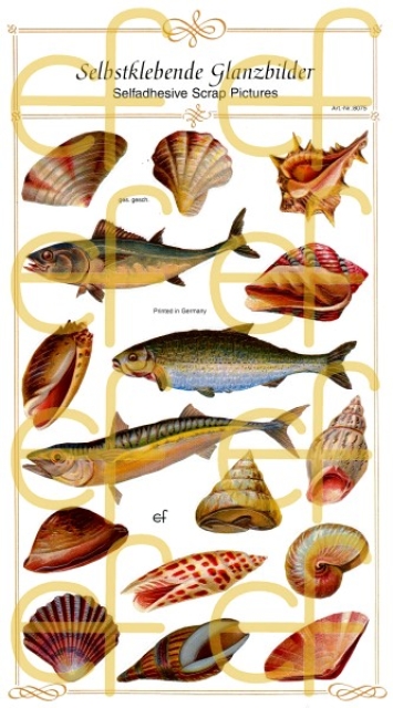Selbstklebende Glanzbilder Fische
