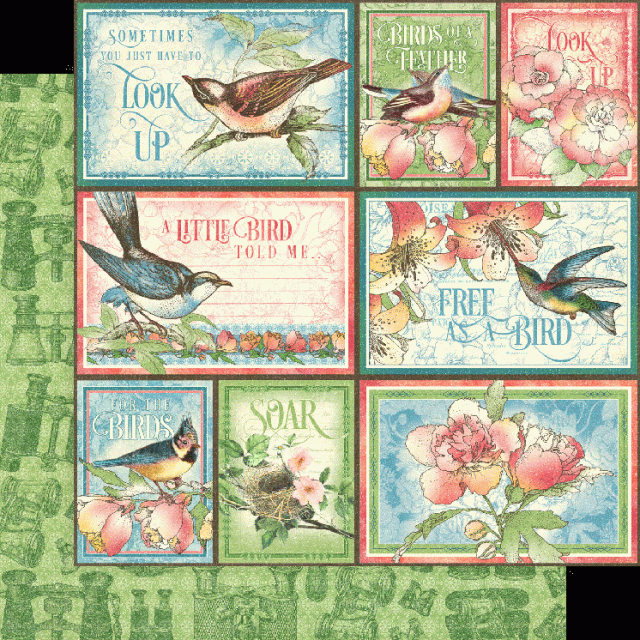 Graphic 45 Bird Watcher 12 x 12 Inch Collection Pad