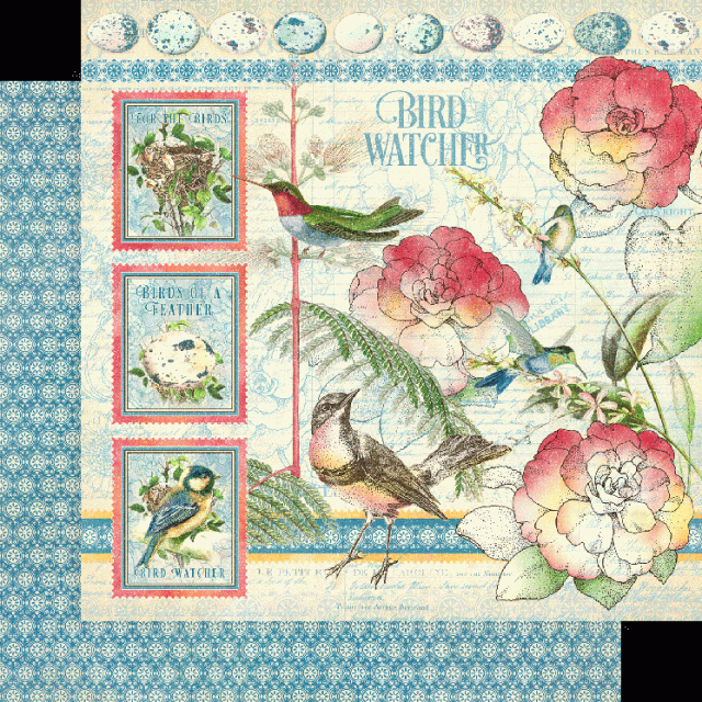 Graphic 45 Bird Watcher 12 x 12 Inch Collection Pad