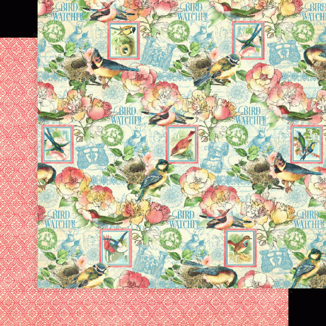 Graphic 45 Bird Watcher 12 x 12 Inch Collection Pad