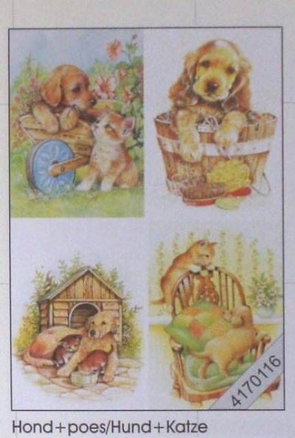 Le Suh 3 D Bogen im Format 50 x 70 cm Katze und Hund