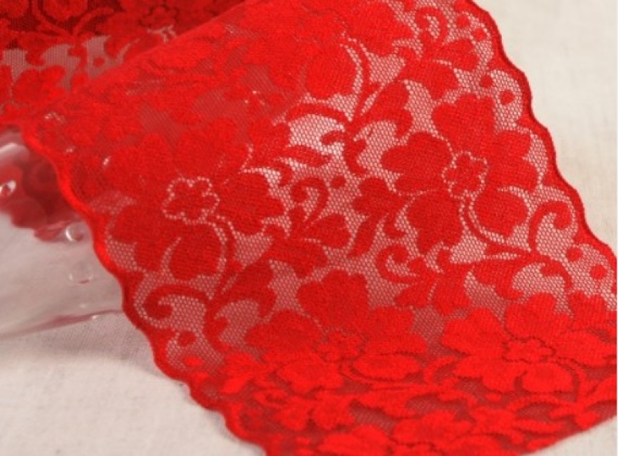 Elastische Spitze 10 cm breit pro Meter rot